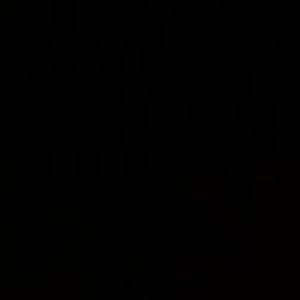 Meet your Posher, Karin